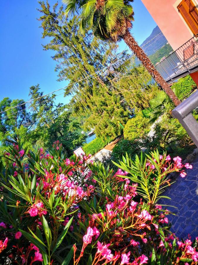 La Baia D'acquadolce Holiday home Bolzano Novarese